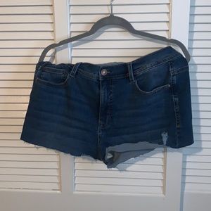 🍄3 FOR $18🌈 Jean Shorts